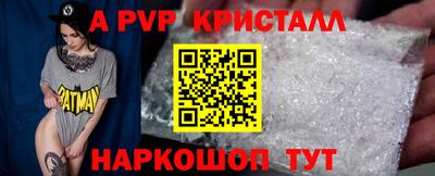 эйфоретик Кингисепп