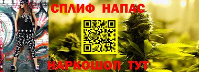 эйфоретик Кингисепп