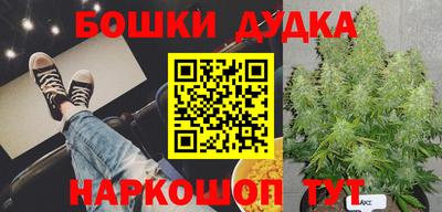 эйфоретик Кингисепп