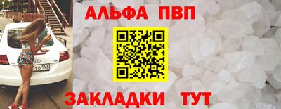 эйфоретик Кингисепп