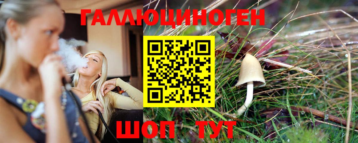 Кисловодск  Псилоцибиновые грибы GOLDEN TEACHER  Вход с VPN 