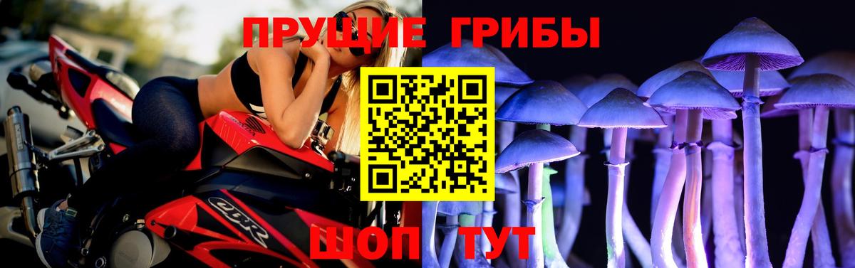 Галлюциногенные грибы Cubensis Кисловодск
